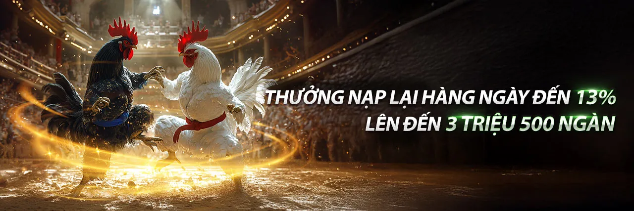 Sân vận động lớn với đèn sáng và hình ảnh các môn thể thao khác nhau, thể hiện cá cược thể thao trực tuyến tại ww888 chính thức